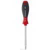 Screwdriver, žvaigždutė, Star, T25, L-100mm