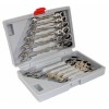 Wrenches Set, plastinikė dėžutė, 12d., kombinuoti, su šarnyru, (8-19mm), terkšliniai