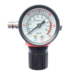 Air Regulator, su manometru, 1/4`(F)