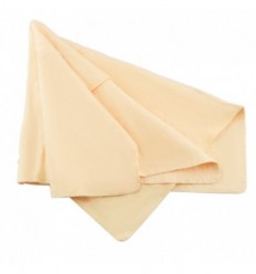 Automobilio sausinimo šluostė (430x325mm)